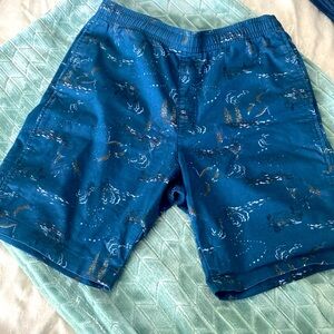 Men’s Casual Shorts